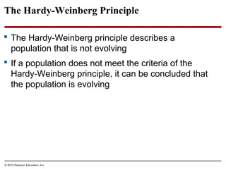 © 2014 Pearson Education, Inc.
The Hardy-Weinberg Principle
 The Hardy-Weinberg principle describes a
population that is not evolving
 If a population does not meet the criteria of the
Hardy-Weinberg principle, it can be concluded that
the population is evolving
 
