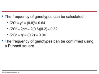 © 2014 Pearson Education, Inc.
 The frequency of genotypes can be calculated
 CR
CR
= p2
= (0.8)2
= 0.64
 CR
CW
= 2pq = 2(0.8)(0.2)= 0.32
 CW
CW
= q2
= (0.2)2
= 0.04
 The frequency of genotypes can be confirmed using
a Punnett square
 