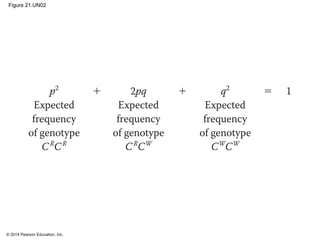© 2014 Pearson Education, Inc.
Figure 21.UN02
 