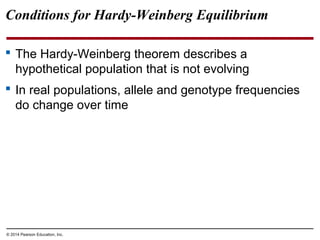 © 2014 Pearson Education, Inc.
Conditions for Hardy-Weinberg Equilibrium
 The Hardy-Weinberg theorem describes a
hypothetical population that is not evolving
 In real populations, allele and genotype frequencies
do change over time
 
