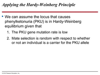 © 2014 Pearson Education, Inc.
Applying the Hardy-Weinberg Principle
 We can assume the locus that causes
phenylketonuria (PKU) is in Hardy-Weinberg
equilibrium given that
1. The PKU gene mutation rate is low
2. Mate selection is random with respect to whether
or not an individual is a carrier for the PKU allele
 
