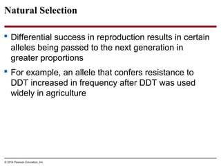 © 2014 Pearson Education, Inc.
Natural Selection
 Differential success in reproduction results in certain
alleles being passed to the next generation in
greater proportions
 For example, an allele that confers resistance to
DDT increased in frequency after DDT was used
widely in agriculture
 