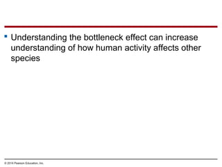 © 2014 Pearson Education, Inc.
 Understanding the bottleneck effect can increase
understanding of how human activity affects other
species
 