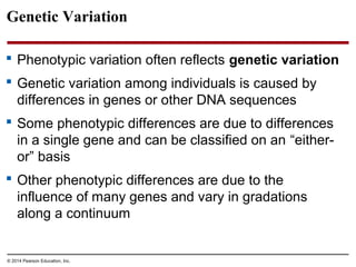 © 2014 Pearson Education, Inc.
Genetic Variation
 Phenotypic variation often reflects genetic variation
 Genetic variation among individuals is caused by
differences in genes or other DNA sequences
 Some phenotypic differences are due to differences
in a single gene and can be classified on an “either-
or” basis
 Other phenotypic differences are due to the
influence of many genes and vary in gradations
along a continuum
 