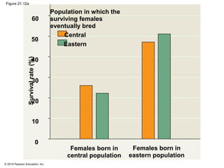 © 2014 Pearson Education, Inc.
Figure 21.12a
Survivalrate(%)
Population in which the
surviving females
eventually bred
Females born in
central population
Central
Eastern
Females born in
eastern population
60
50
40
30
20
10
0
 