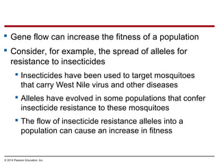 © 2014 Pearson Education, Inc.
 Gene flow can increase the fitness of a population
 Consider, for example, the spread of alleles for
resistance to insecticides
 Insecticides have been used to target mosquitoes
that carry West Nile virus and other diseases
 Alleles have evolved in some populations that confer
insecticide resistance to these mosquitoes
 The flow of insecticide resistance alleles into a
population can cause an increase in fitness
 
