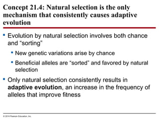 © 2014 Pearson Education, Inc.
 Evolution by natural selection involves both chance
and “sorting”
 New genetic variations arise by chance
 Beneficial alleles are “sorted” and favored by natural
selection
 Only natural selection consistently results in
adaptive evolution, an increase in the frequency of
alleles that improve fitness
Concept 21.4: Natural selection is the only
mechanism that consistently causes adaptive
evolution
 