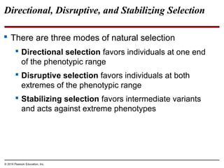 © 2014 Pearson Education, Inc.
Directional, Disruptive, and Stabilizing Selection
 There are three modes of natural selection
 Directional selection favors individuals at one end
of the phenotypic range
 Disruptive selection favors individuals at both
extremes of the phenotypic range
 Stabilizing selection favors intermediate variants
and acts against extreme phenotypes
 