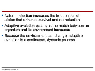 © 2014 Pearson Education, Inc.
 Natural selection increases the frequencies of
alleles that enhance survival and reproduction
 Adaptive evolution occurs as the match between an
organism and its environment increases
 Because the environment can change, adaptive
evolution is a continuous, dynamic process
 