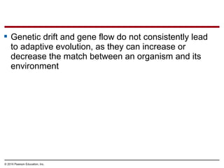 © 2014 Pearson Education, Inc.
 Genetic drift and gene flow do not consistently lead
to adaptive evolution, as they can increase or
decrease the match between an organism and its
environment
 