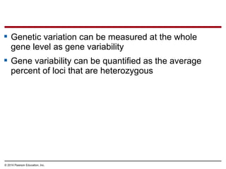 © 2014 Pearson Education, Inc.
 Genetic variation can be measured at the whole
gene level as gene variability
 Gene variability can be quantified as the average
percent of loci that are heterozygous
 