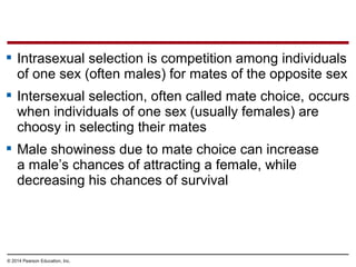 © 2014 Pearson Education, Inc.
 Intrasexual selection is competition among individuals
of one sex (often males) for mates of the opposite sex
 Intersexual selection, often called mate choice, occurs
when individuals of one sex (usually females) are
choosy in selecting their mates
 Male showiness due to mate choice can increase
a male’s chances of attracting a female, while
decreasing his chances of survival
 