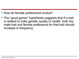 © 2014 Pearson Education, Inc.
 How do female preferences evolve?
 The “good genes” hypothesis suggests that if a trait
is related to male genetic quality or health, both the
male trait and female preference for that trait should
increase in frequency
 
