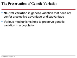 © 2014 Pearson Education, Inc.
The Preservation of Genetic Variation
 Neutral variation is genetic variation that does not
confer a selective advantage or disadvantage
 Various mechanisms help to preserve genetic
variation in a population
 