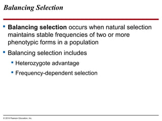 © 2014 Pearson Education, Inc.
Balancing Selection
 Balancing selection occurs when natural selection
maintains stable frequencies of two or more
phenotypic forms in a population
 Balancing selection includes
 Heterozygote advantage
 Frequency-dependent selection
 