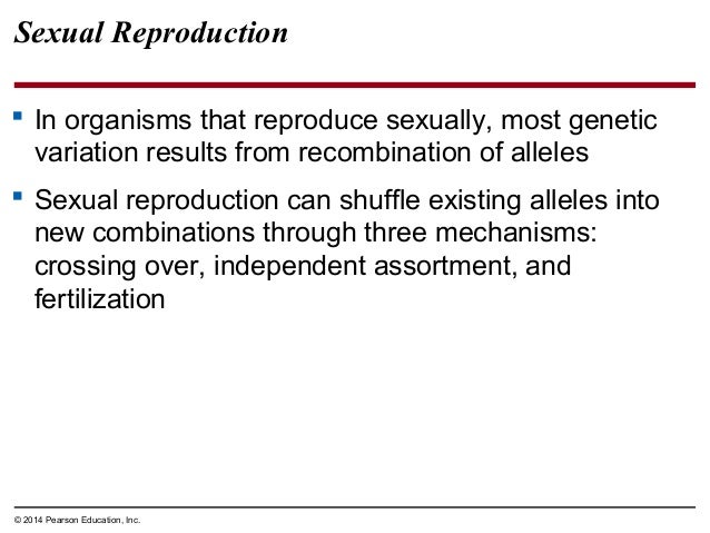Campbell Biology 9th Edition Chapter 22 Test Form