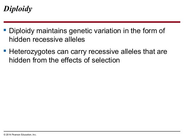 How Does Diploidy Help To Preserve Genetic Variation? How Does Diploidy Help To Preserve Genetic Variation?