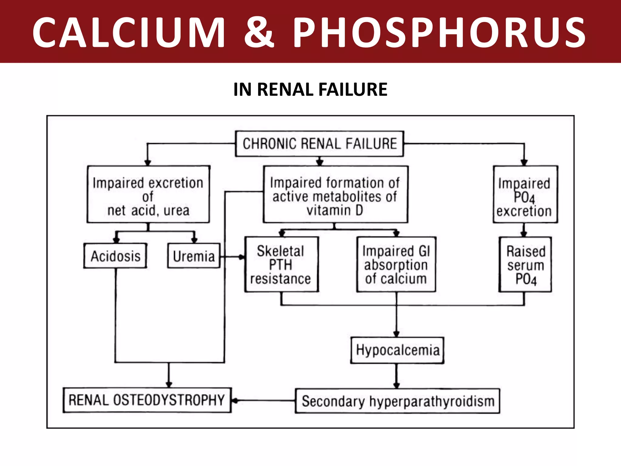 CALCIUM & PHOSPHORUS
IN RENAL FAILURE
 
