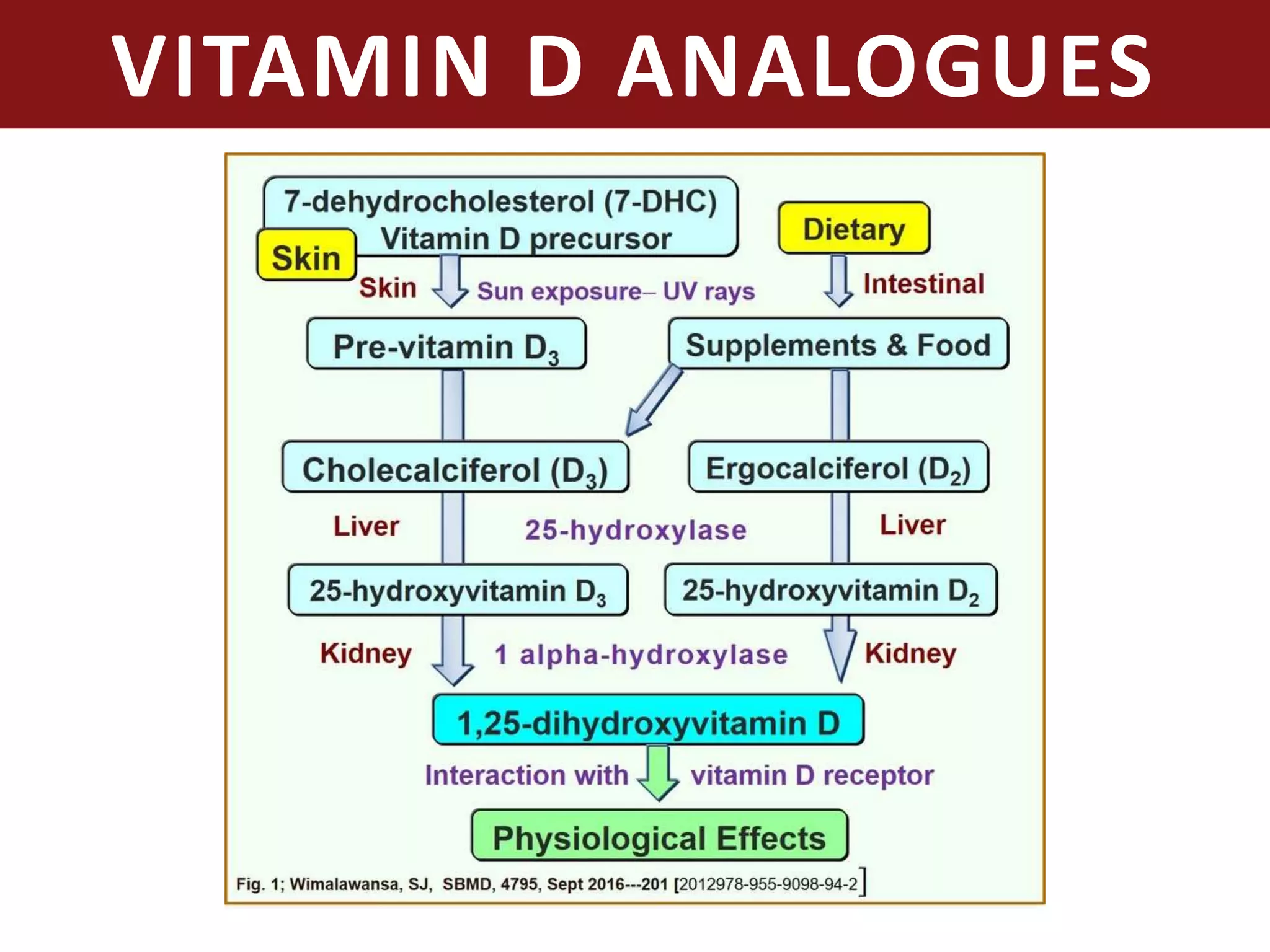 VITAMIN D ANALOGUES
 