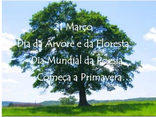21 Março
Dia da Árvore e da Floresta
Dia Mundial da Poesia
Começa a Primavera…
 