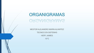 ORGANIGRAMAS
MESTOR ALEJANDRO MARIN ALVARTEZ
TECNICO EN SISTEMAS
HERY JAIMES
10°C
 