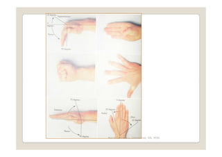 Maria Carmela L. Domocmat, RN, MSN
 