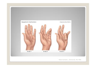 Maria Carmela L. Domocmat, RN, MSN
 