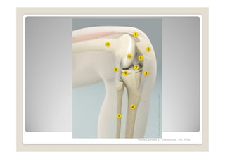 Maria Carmela L. Domocmat, RN, MSN
 