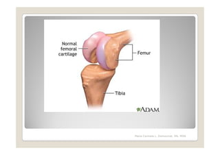 Maria Carmela L. Domocmat, RN, MSN
 