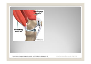 http://www.trialsightmedia.com/exhibit_store/images/kneeanatomy.jpg   Maria Carmela L. Domocmat, RN, MSN
 
