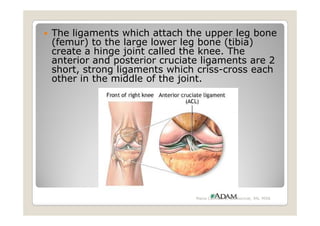 The ligaments which attach the upper leg bone
(femur) to the large lower leg bone (tibia)
create a hinge joint called the knee. The
anterior and posterior cruciate ligaments are 2
short, strong ligaments which criss-cross each
other in the middle of the joint.




                              Maria Carmela L. Domocmat, RN, MSN
 