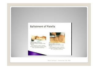 Maria Carmela L. Domocmat, RN, MSN
 