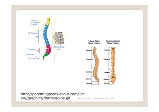 http://parentingteens.about.com/libr
ary/graphics/normalspine.gif   Maria Carmela L. Domocmat, RN, MSN
 