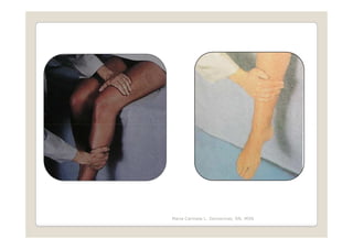 Maria Carmela L. Domocmat, RN, MSN
 