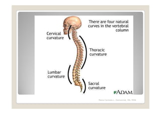 Maria Carmela L. Domocmat, RN, MSN
 