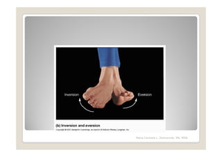 Maria Carmela L. Domocmat, RN, MSN
 