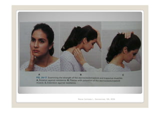 Maria Carmela L. Domocmat, RN, MSN
 