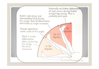 Maria Carmela L. Domocmat, RN, MSN
 