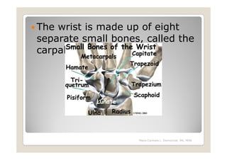 The wrist is made up of eight
separate small bones, called the
carpal bones




                    Maria Carmela L. Domocmat, RN, MSN
 