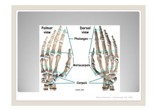Maria Carmela L. Domocmat, RN, MSN
 