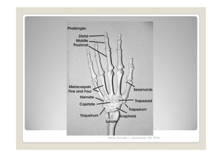 Maria Carmela L. Domocmat, RN, MSN
 