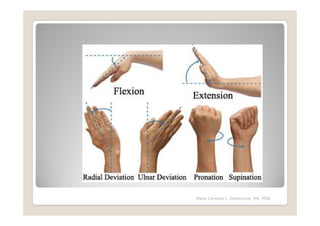 Maria Carmela L. Domocmat, RN, MSN
 