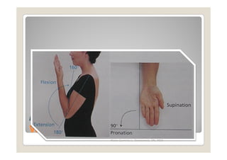 Range Of Motion
Wrists, Hands, and Fingers.
              Maria Carmela L. Domocmat, RN, MSN
 
