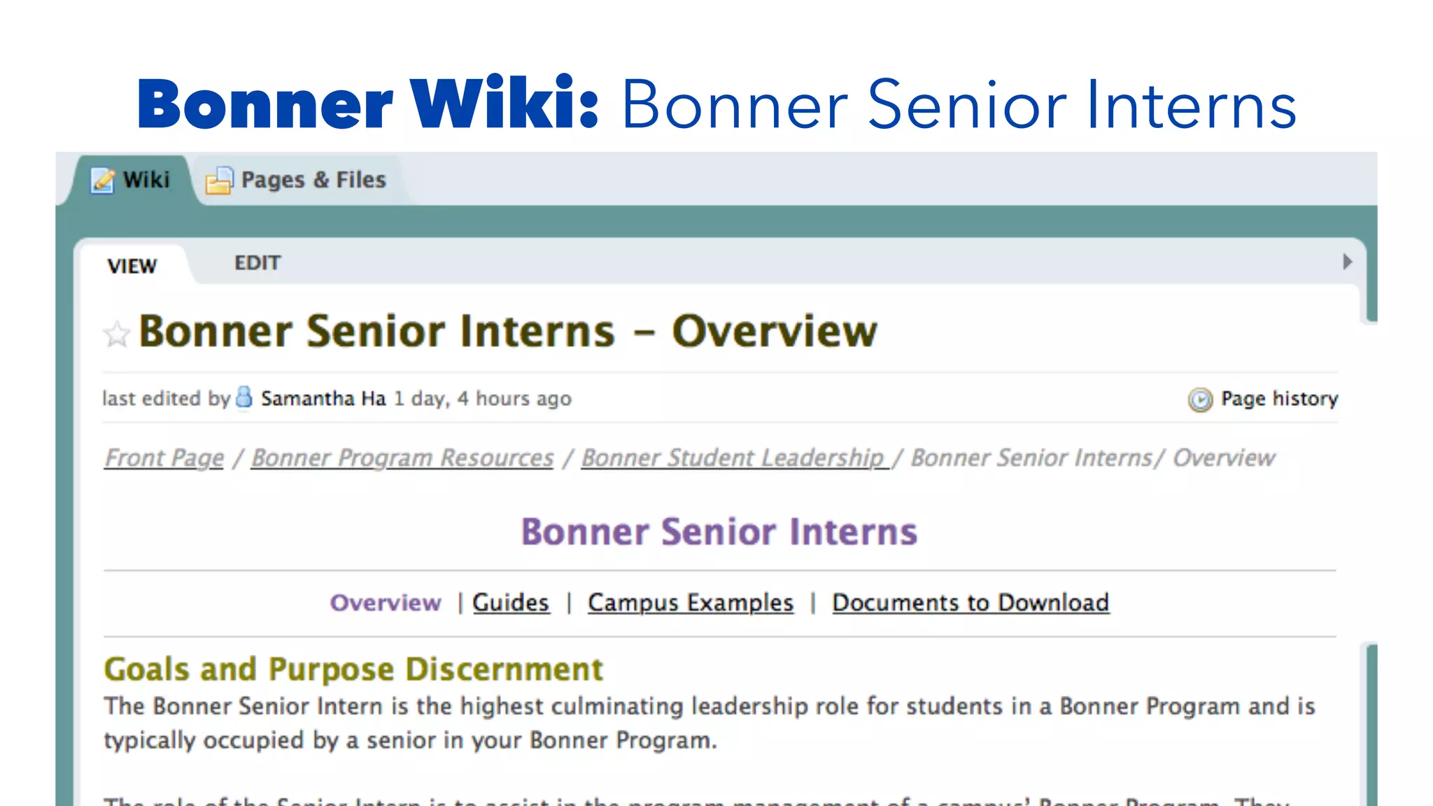 Bonner Wiki: Bonner Senior Interns
 