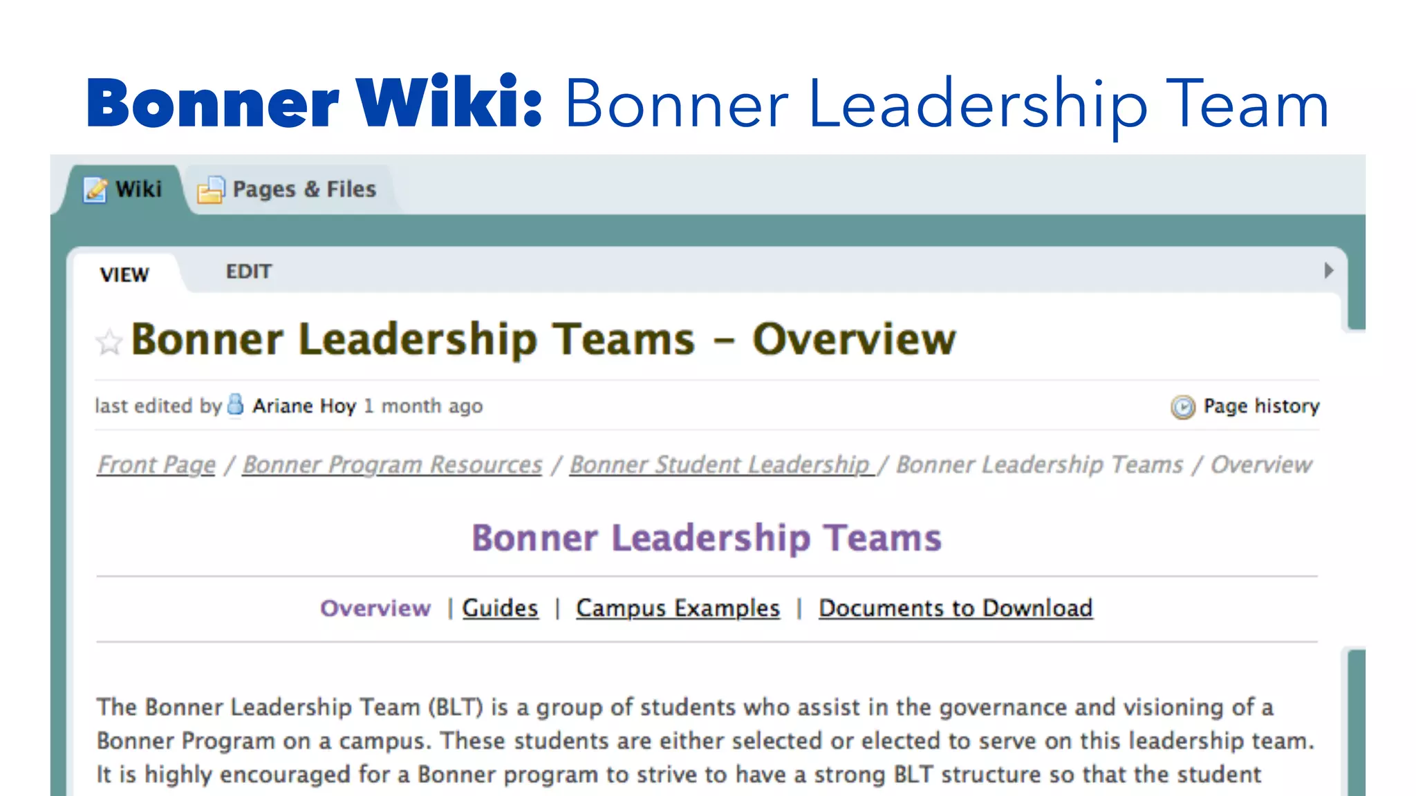 Bonner Wiki: Bonner Leadership Team
 