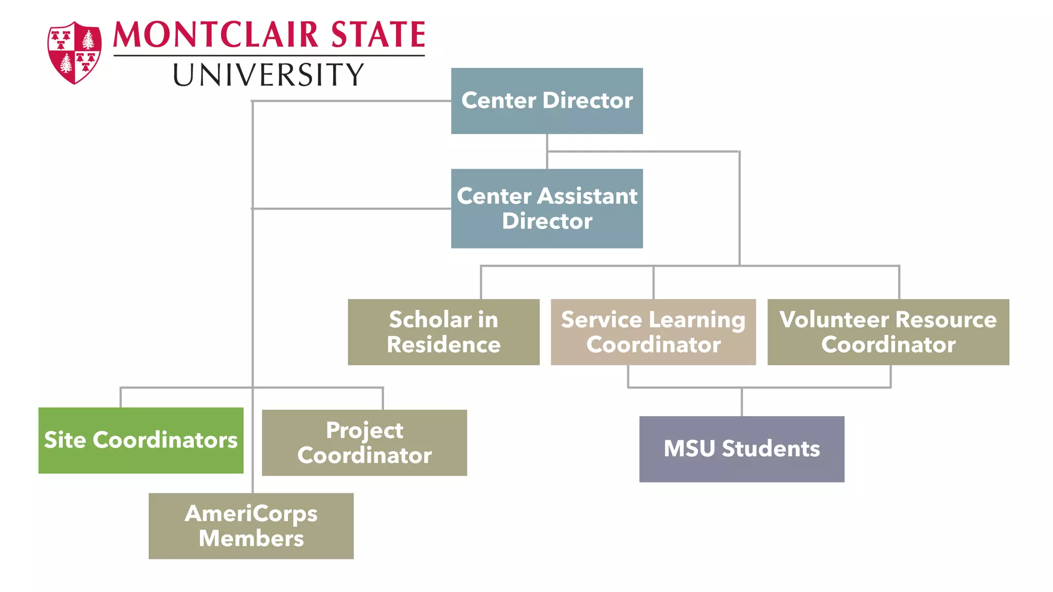Center Director
Center Assistant
Director
Scholar in
Residence
Service Learning
Coordinator
Volunteer Resource
Coordinator
MSU Students
Site Coordinators
AmeriCorps
Members
Project
Coordinator
 