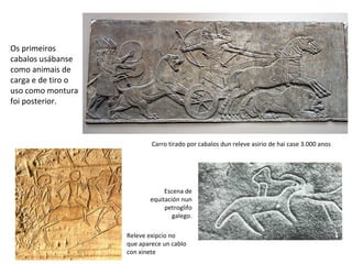Os primeiros
cabalos usábanse
como animais de
carga e de tiro o
uso como montura
foi posterior.
Carro tirado por cabalos dun releve asirio de hai case 3.000 anos
Releve exipcio no
que aparece un cablo
con xinete
Escena de
equitación nun
petroglifo
galego.
 