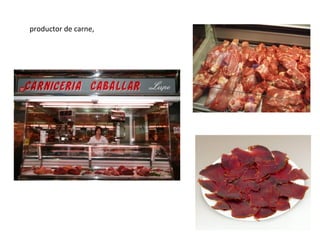 productor de carne,
 