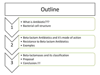 beta lactam antibiotics examples