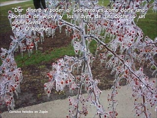 “Dar dinero y poder al Gobierno es como darle una
botella de wisky y las llaves de un coche a un
adolescente”.
P.J. O'Rourke

Cerezos helados en Japón

 